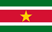 Suriname Dream League Soccer