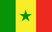 Senegal Dream League Soccer