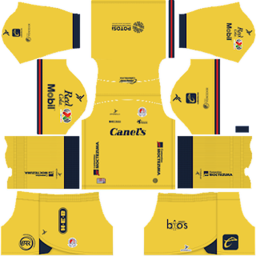 Atlético San Luis GK Home kit 2022-2023 Dream League Soccer 2019 / FTS