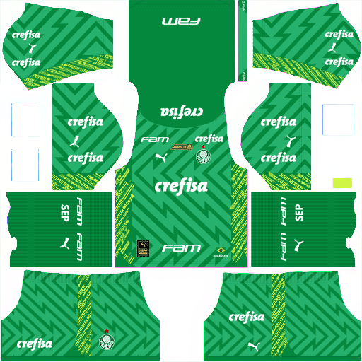 SE Palmeiras GK Home kit 2023 Dream League Soccer 2019 / FTS