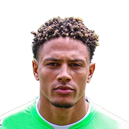 Maduka Okoye Dream League Soccer 2023 / DLS23