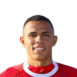 Vanderson de Oliveira Campos Dream League Soccer 2023 / DLS23