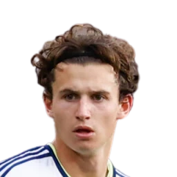 Brenden Aaronson Dream League Soccer 2023 / DLS23