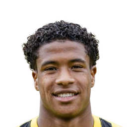 Ryan Flamingo Dream League Soccer 2024 / DLS24