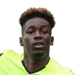 Celton Biai Dream League Soccer / DLS 2025