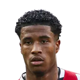 Ryan Flamingo Dream League Soccer / DLS 2025