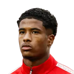 Ryan Flamingo Dream League Soccer / DLS 2026