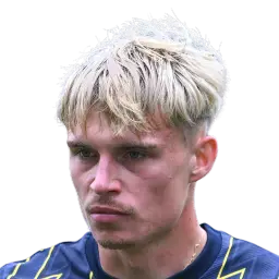 Przemyslaw Płacheta Dream League Soccer 2026 / DLS26