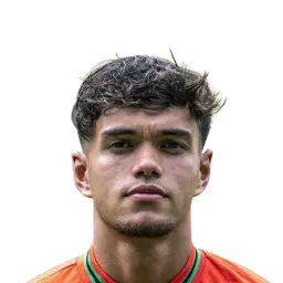 D'Leanu Arts Dream League Soccer 2026 / DLS26