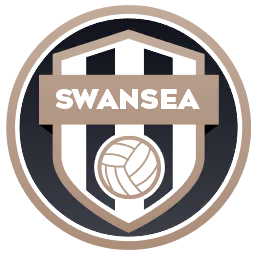 Swansea Dream League Soccer / DLS 2026