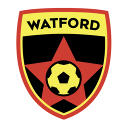 Watford Dream League Soccer 2025